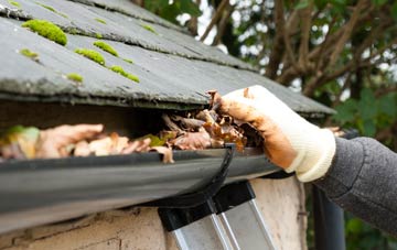 gutter cleaning Hascombe, Surrey