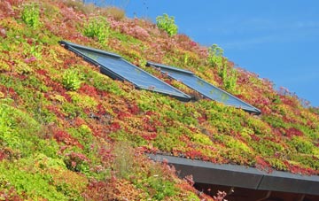 Hascombe living roof systems